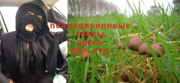 кокс Алексеевка